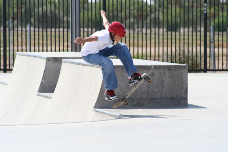 THE SKATE PARK