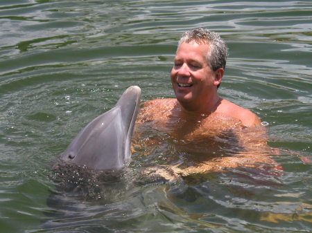 Swimming with the Dolphins in Key West