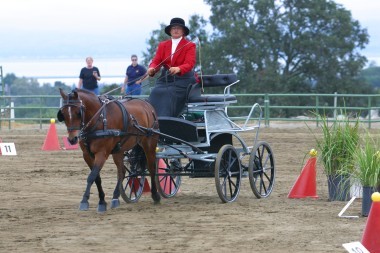 Carriage competition