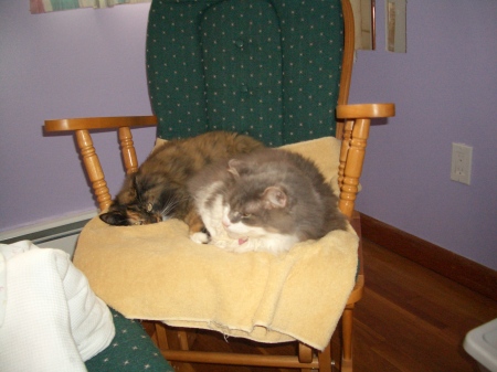 Ginger (2004) and "T" (deceased at 19!)