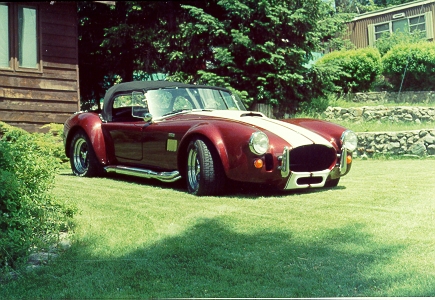 Our 65 Cobra