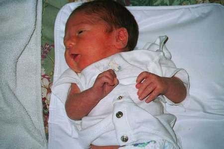 Bailey 1999 newborn