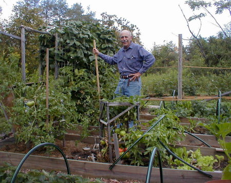 Backyard garden in Ithaca.