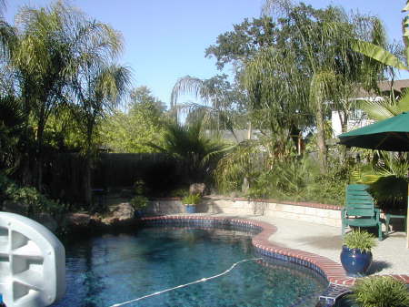 Another View of the Backyard