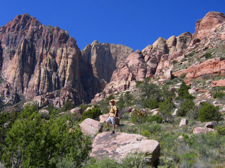 Pine Creek Canyon