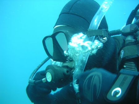 Diving Catalina