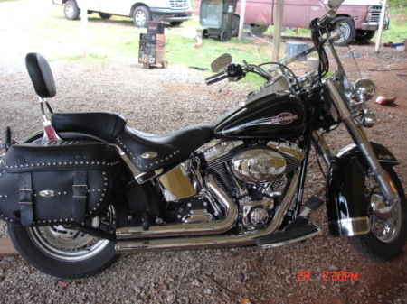 My Harley