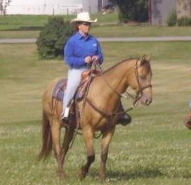 Lenox Rodeo