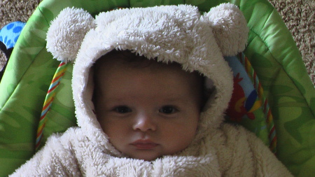 julie and kai bear suit 005