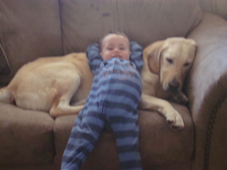 Karter and Duke