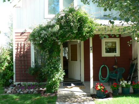 my front porch in summer