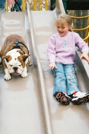 Our Bulldog with a playmate