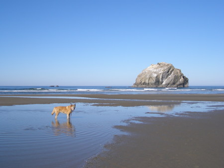 KC at the Beach in Bandon. That's Face Rock behind her.