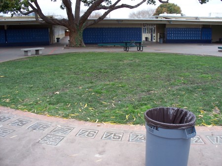 The senior Lawn.