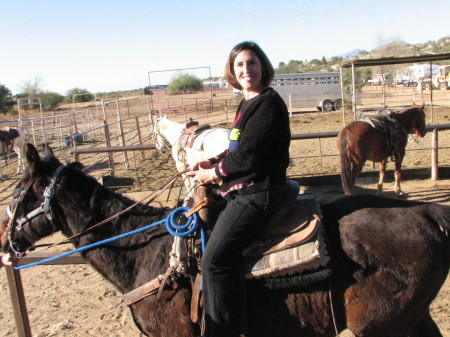 horseback riding in Tucson, AZ
