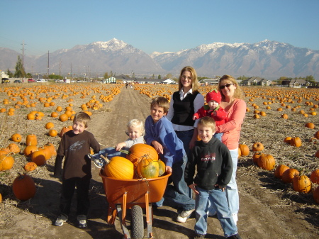 Pumpkin Patch 2007