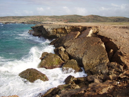 the natural bridge