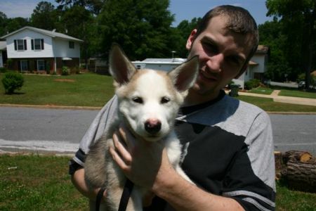 Josh age 20 and his wolf at 3mos.