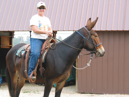 mule woman