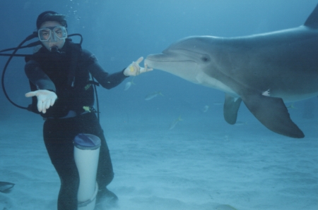 Dolphin Trainer, open water, Bahamas