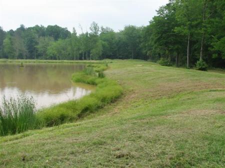 Dam on my big pond, 2008