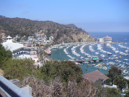 Catalina