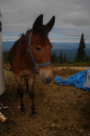 lunch peak 010