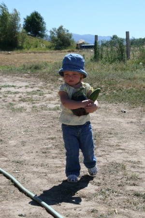 Helping Mommy bring in veggies from the garden