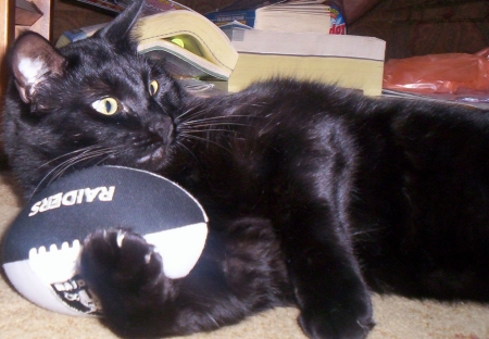 Alley with his Raider Ball