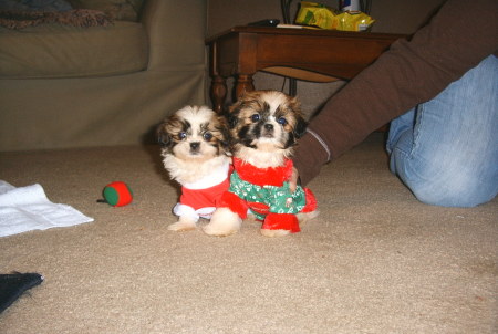 Caci and Baylee with new Christmas sweaters