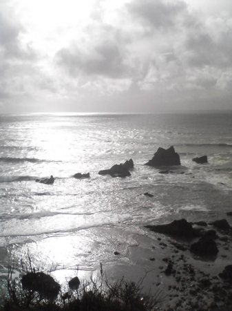 Ebola park in Cannon beach Oregon