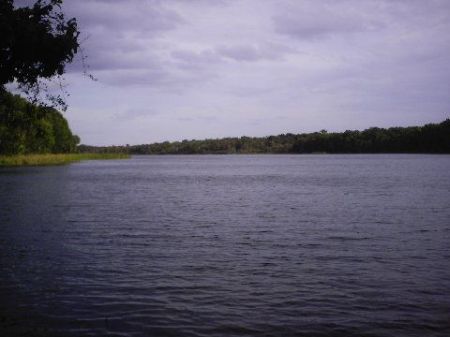 Salt Springs , Florida