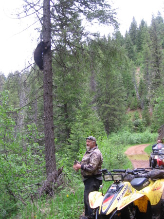 Lil fella  up a tree in Idaho