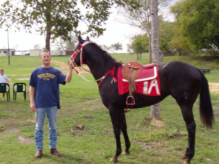 My first race horse