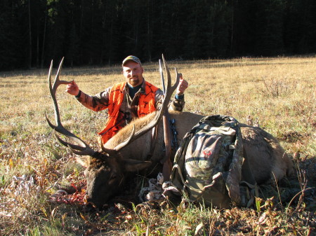 2007 Wyoming elk