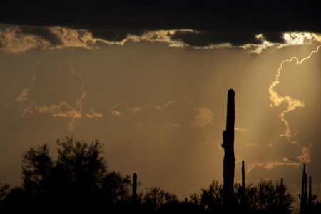 Monsoon Storm