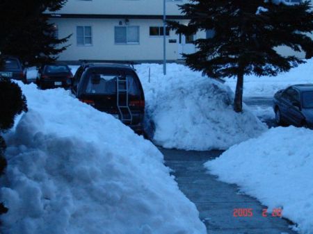 Japan Winter