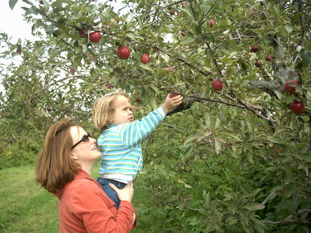 My daughter picking apples