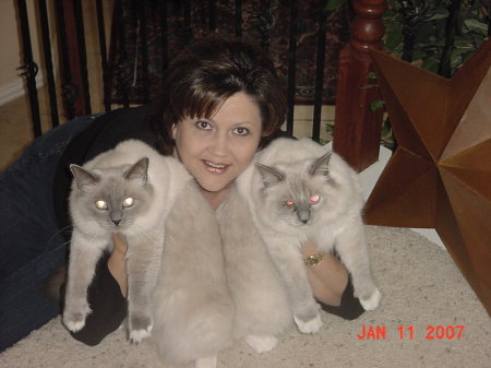 Me and my cats