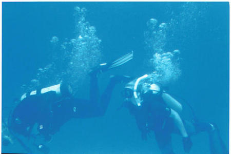 Diving Hawaii 2005