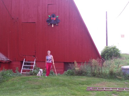 The Witch on the barn...no not me.