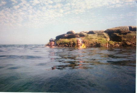 swimming with the seals