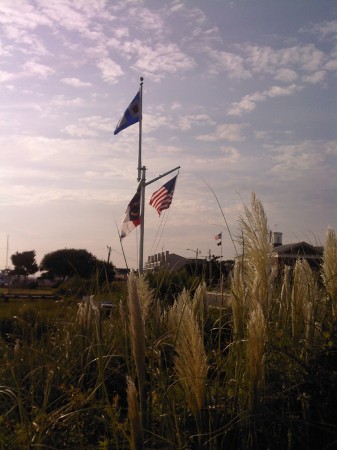 Flags, Beaufort waterfront