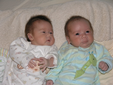 Twins about 2 weeks after birth