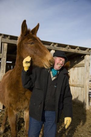 Notcho, My Favorite Saddle Mule