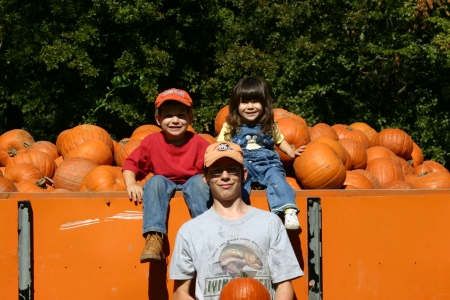 Pumpkin Patch