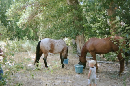 Linda Defrese's album, odds 