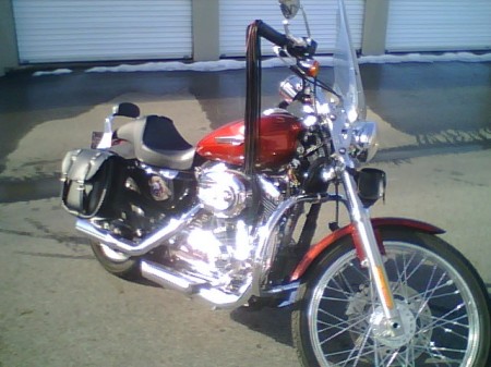 My 2008 1200C Harley Davidson