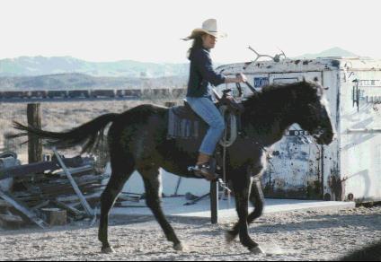 Joyce & her horse
