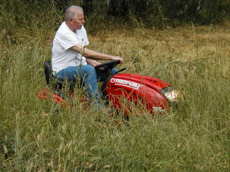 Farmer Joe